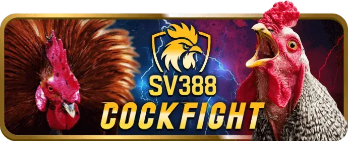 Cấp độ VIP Vàng của bi888